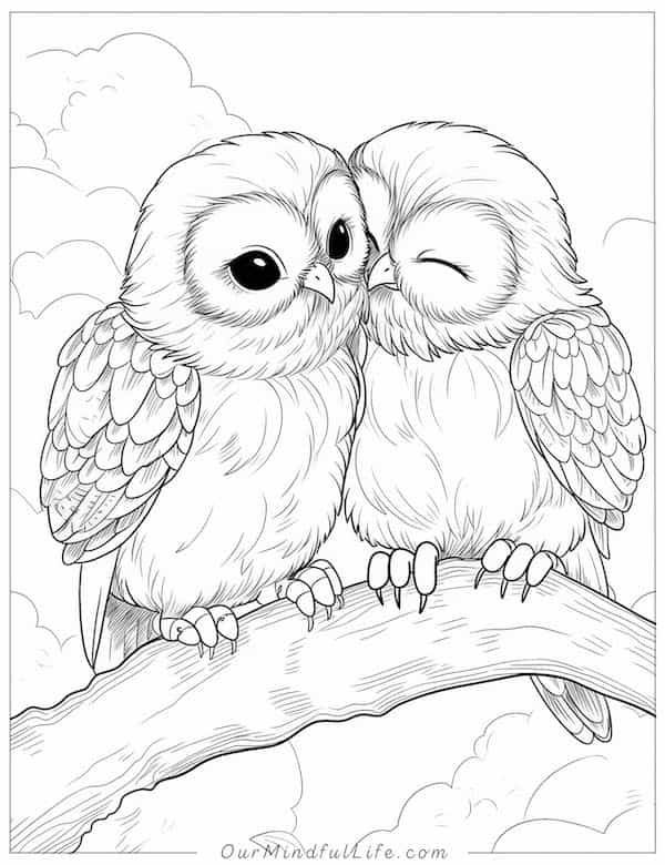 Cute Owl Coloring Pages FREE Printable 59