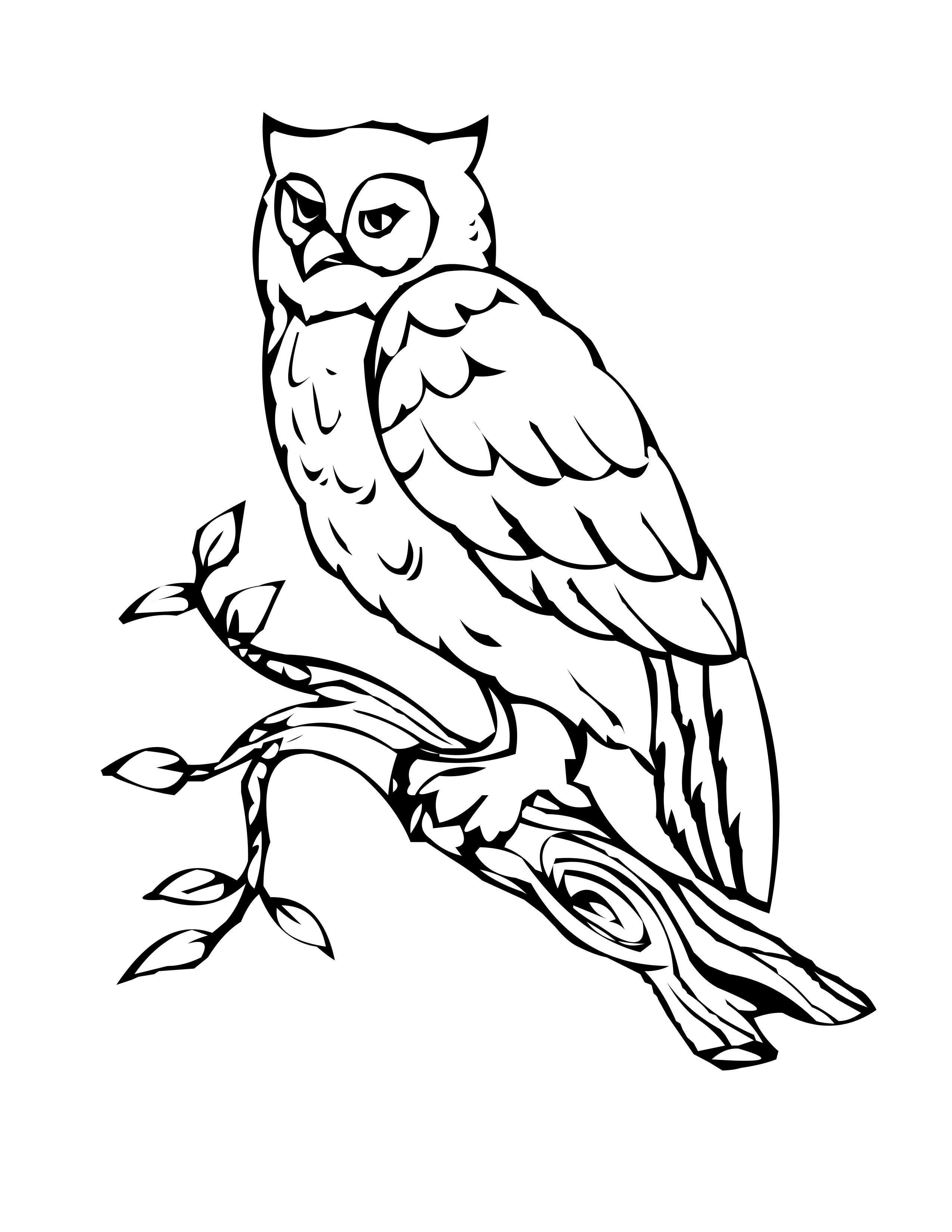 Cute Owl Coloring Pages FREE Printable 62