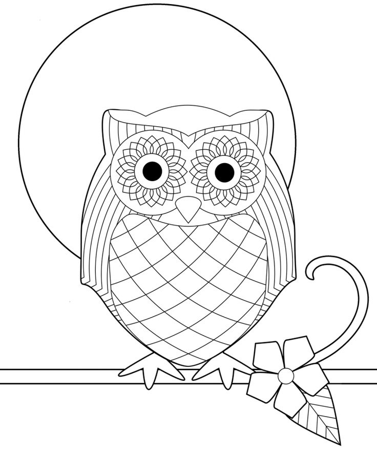 Cute Owl Coloring Pages FREE Printable 64