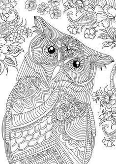 Cute Owl Coloring Pages FREE Printable 67