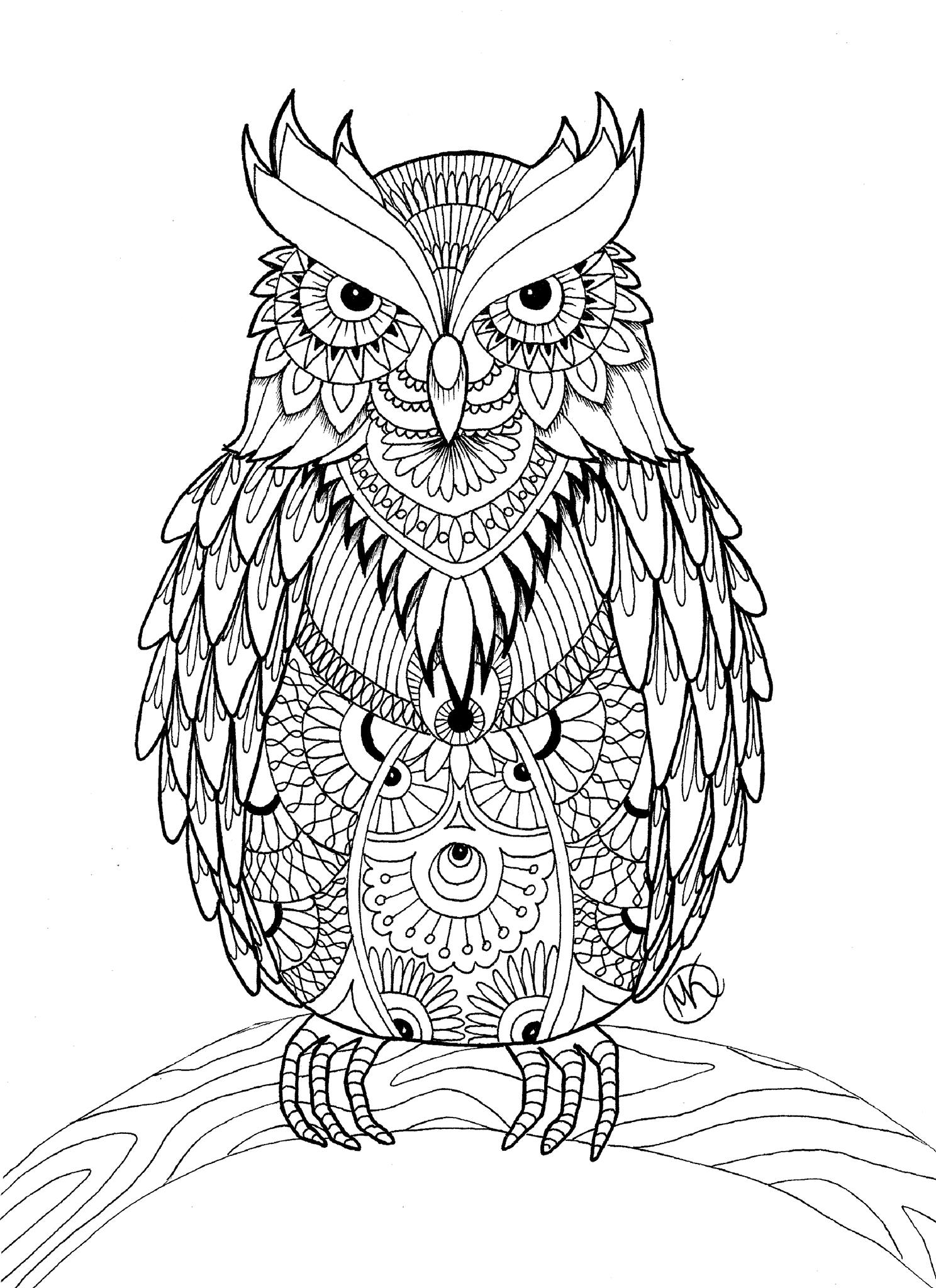 Cute Owl Coloring Pages FREE Printable 68