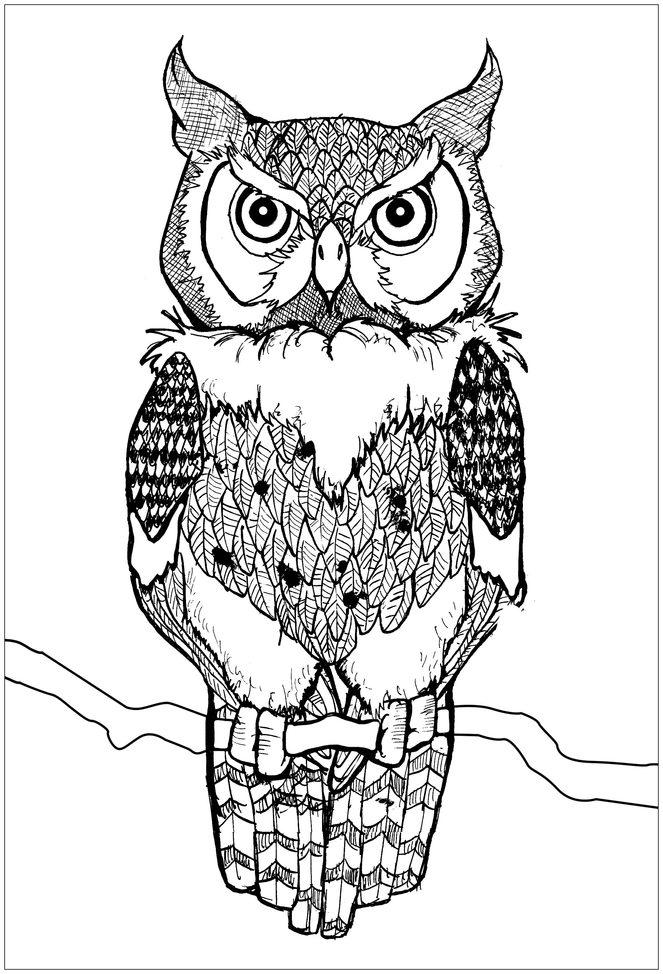 Cute Owl Coloring Pages FREE Printable 9