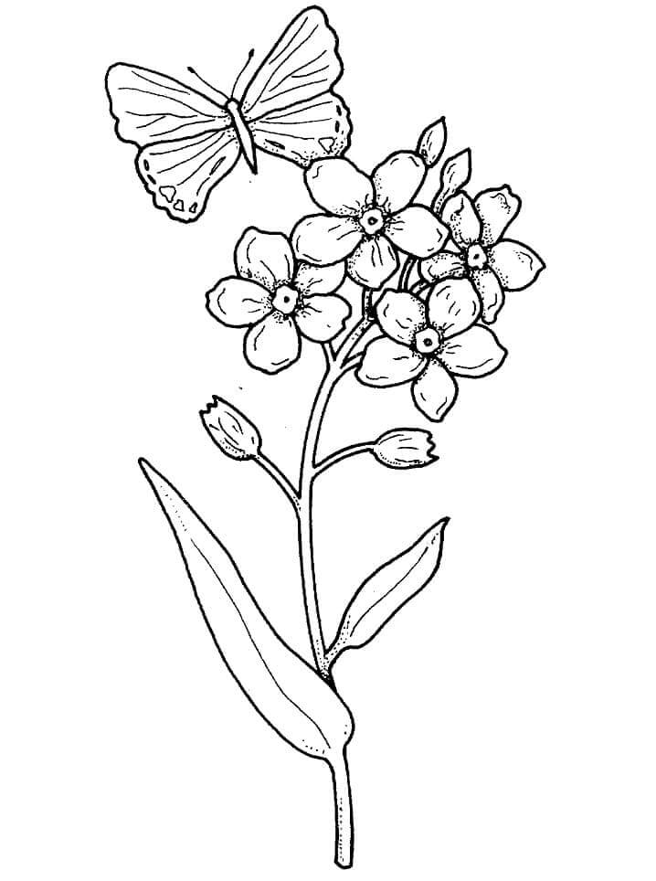 Flowers Coloring Pages: 180+ Blooming Beauties to Brighten Your Day 106