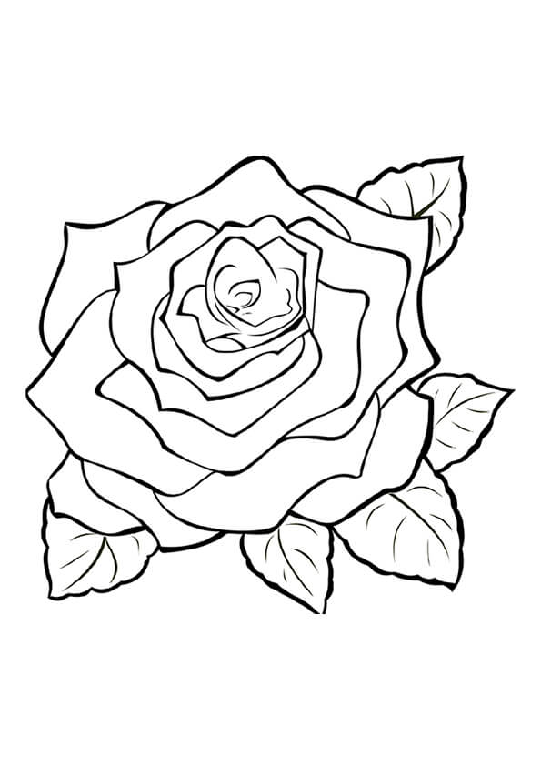 Flowers Coloring Pages: 180+ Blooming Beauties to Brighten Your Day 128