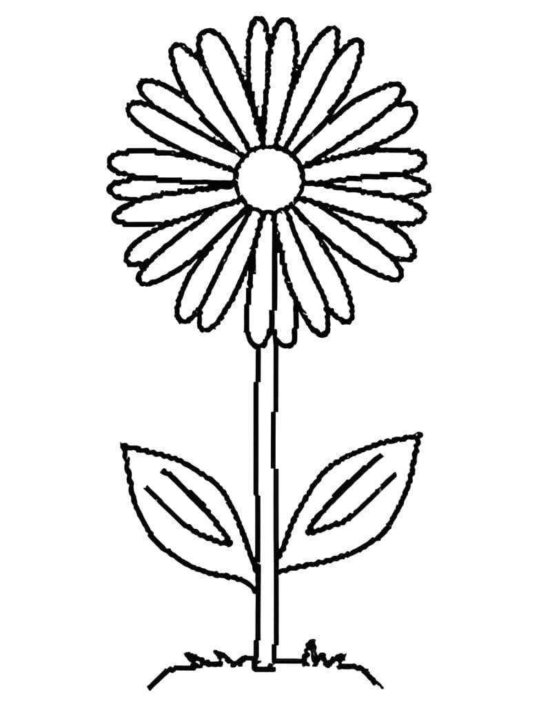 Flowers Coloring Pages: 180+ Blooming Beauties to Brighten Your Day 135