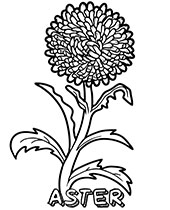 Flowers Coloring Pages: 180+ Blooming Beauties to Brighten Your Day 148