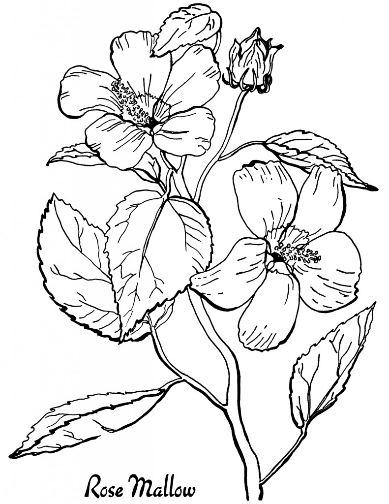 Flowers Coloring Pages: 180+ Blooming Beauties to Brighten Your Day 150