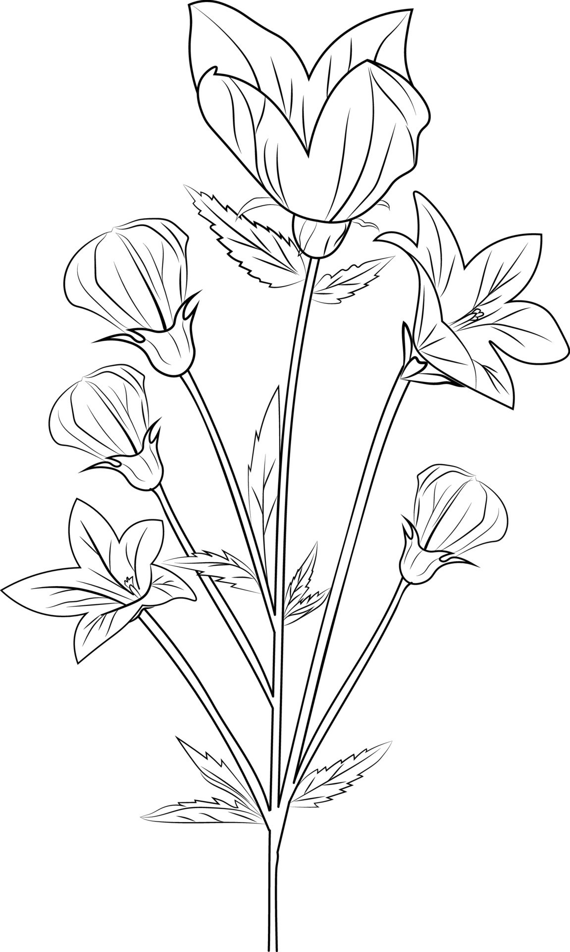 Flowers Coloring Pages: 180+ Blooming Beauties to Brighten Your Day 153