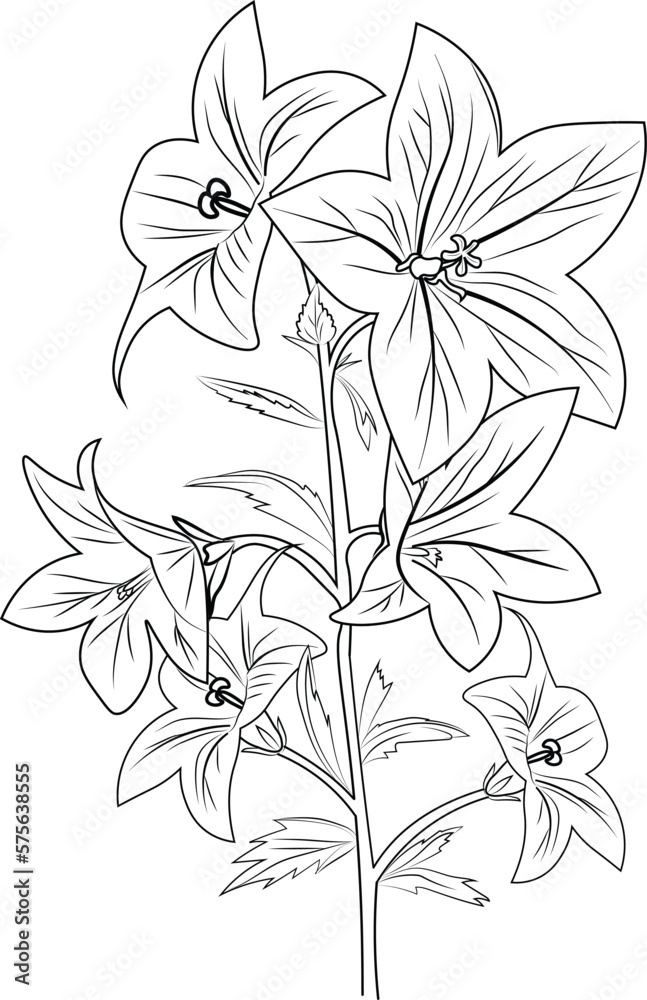 Flowers Coloring Pages: 180+ Blooming Beauties to Brighten Your Day 173