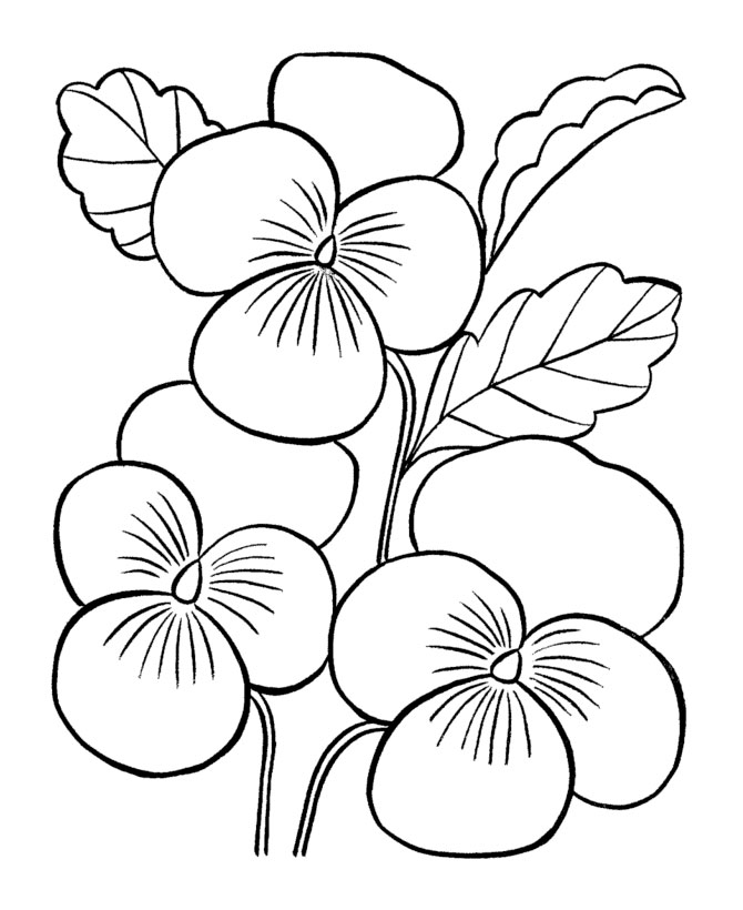 Flowers Coloring Pages: 180+ Blooming Beauties to Brighten Your Day 3