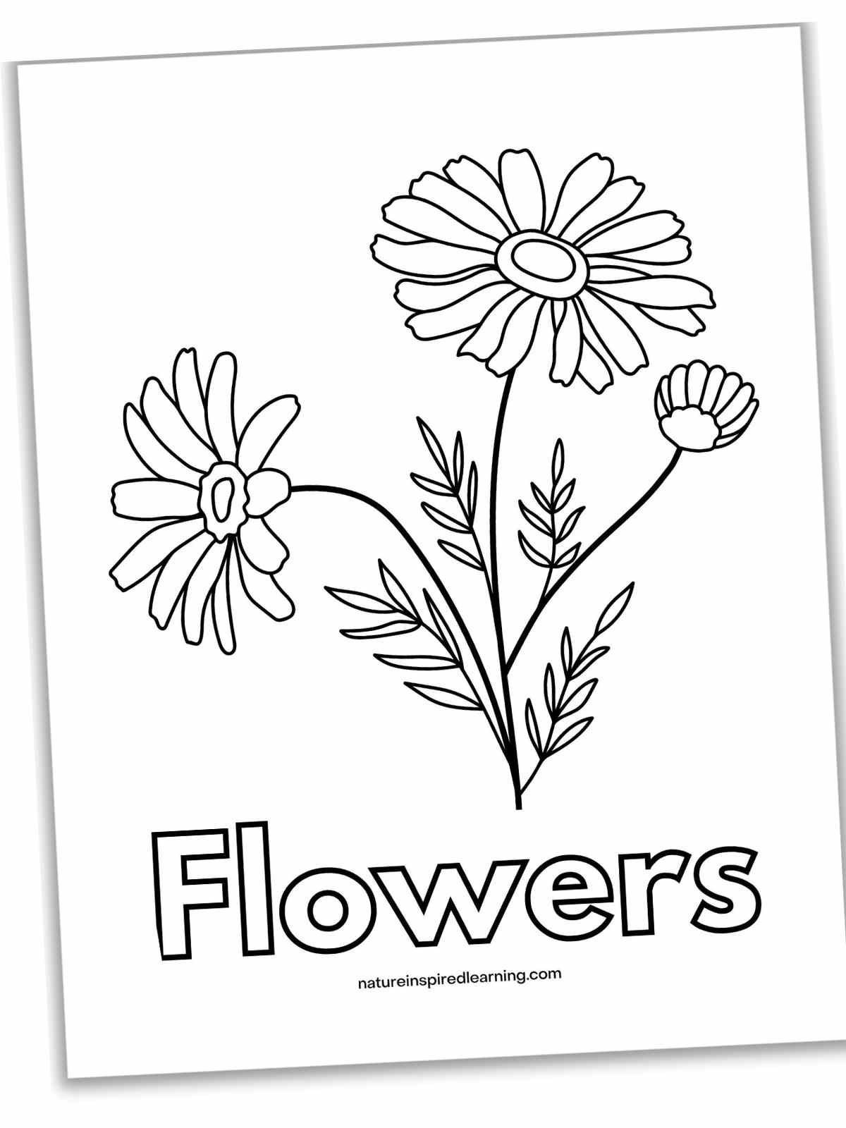 Flowers Coloring Pages: 180+ Blooming Beauties to Brighten Your Day 4