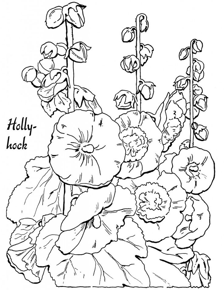 Flowers Coloring Pages: 180+ Blooming Beauties to Brighten Your Day 45