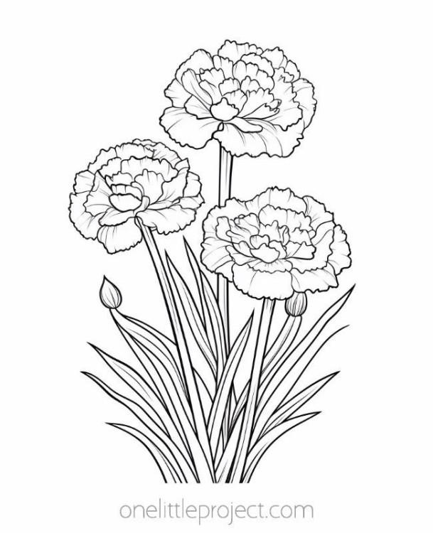 Flowers Coloring Pages: 180+ Blooming Beauties to Brighten Your Day 48