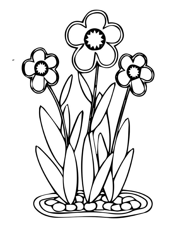 Flowers Coloring Pages: 180+ Blooming Beauties to Brighten Your Day 50