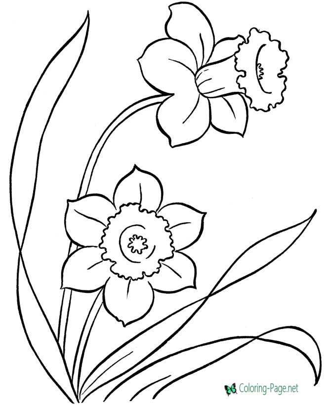 Flowers Coloring Pages: 180+ Blooming Beauties to Brighten Your Day 8