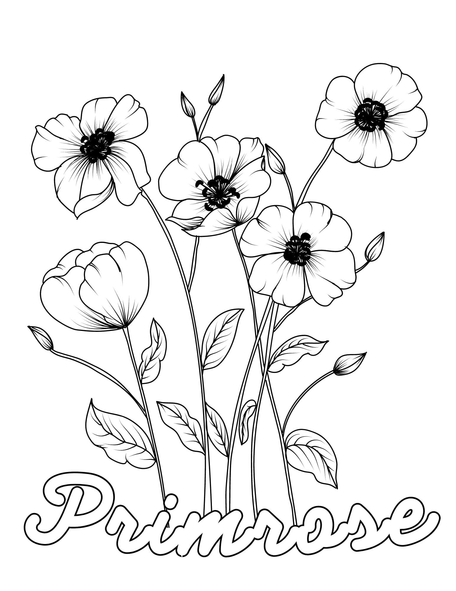 Flowers Coloring Pages: 180+ Blooming Beauties to Brighten Your Day 86