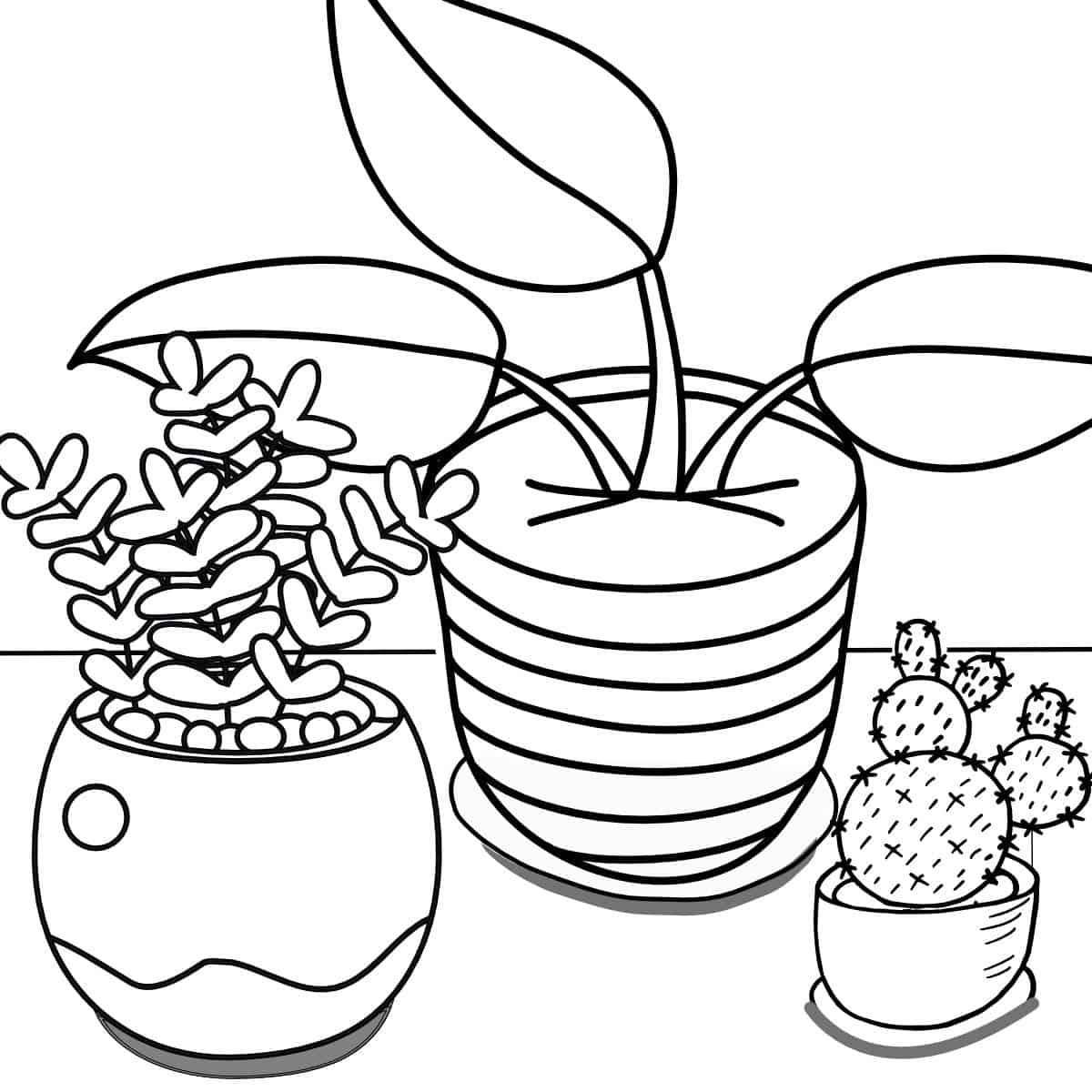 Garden Flowers Coloring Pages for Adults Unique 105