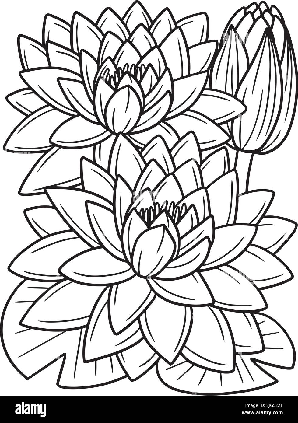 Garden Flowers Coloring Pages for Adults Unique 106