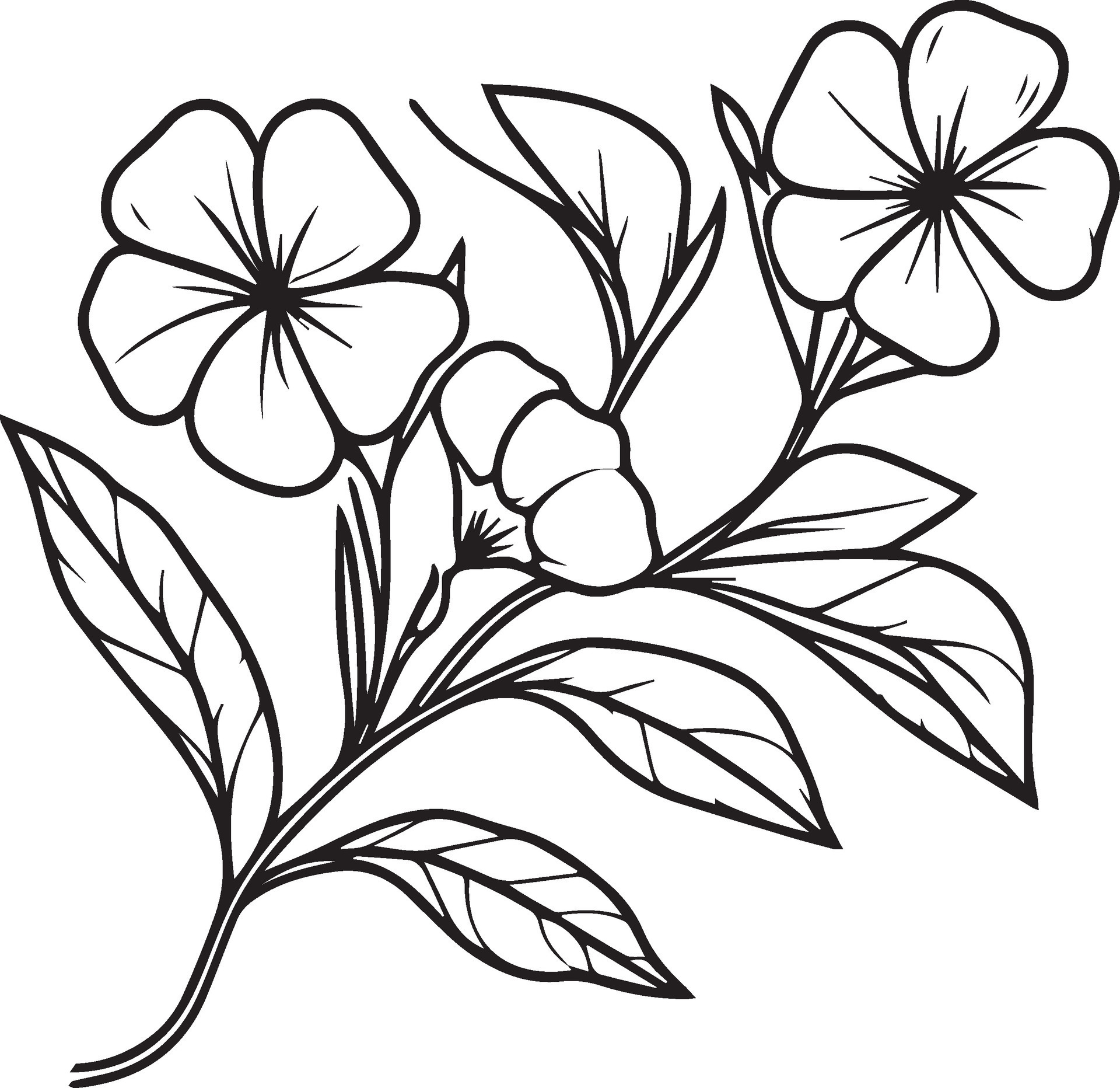 Garden Flowers Coloring Pages for Adults Unique 108