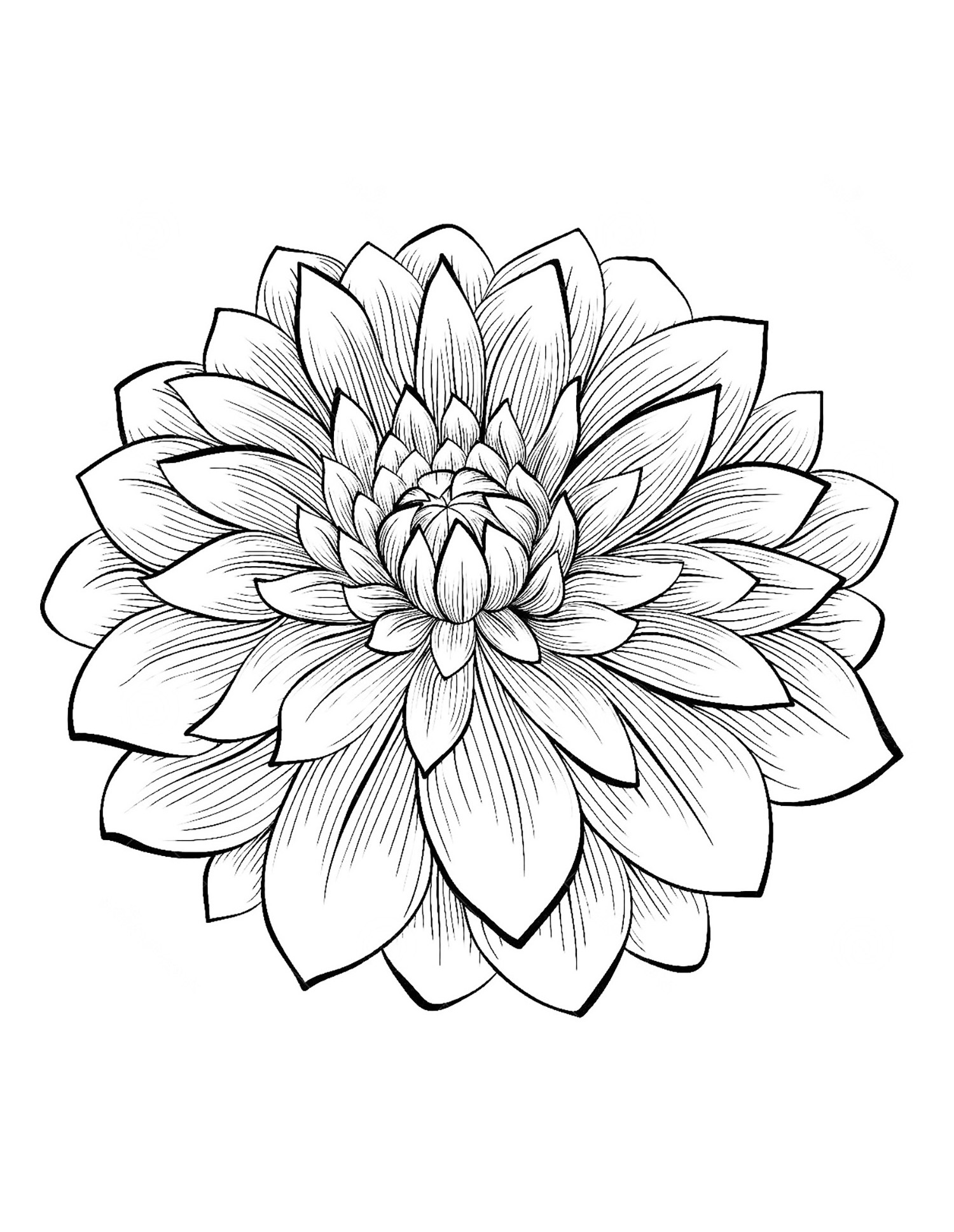 Garden Flowers Coloring Pages for Adults Unique 120