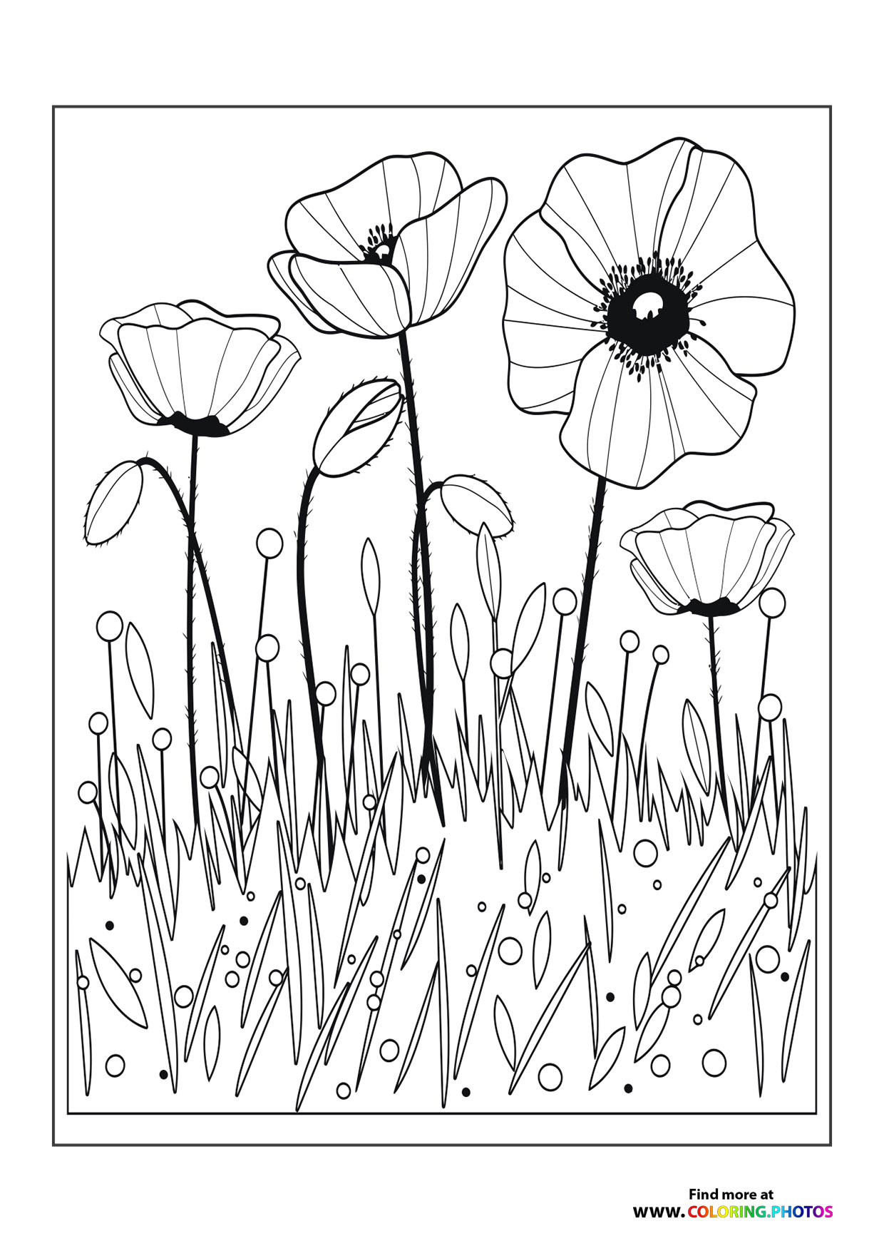 Garden Flowers Coloring Pages for Adults Unique 128