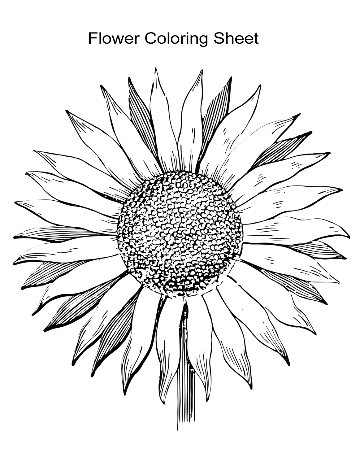 Garden Flowers Coloring Pages for Adults Unique 131