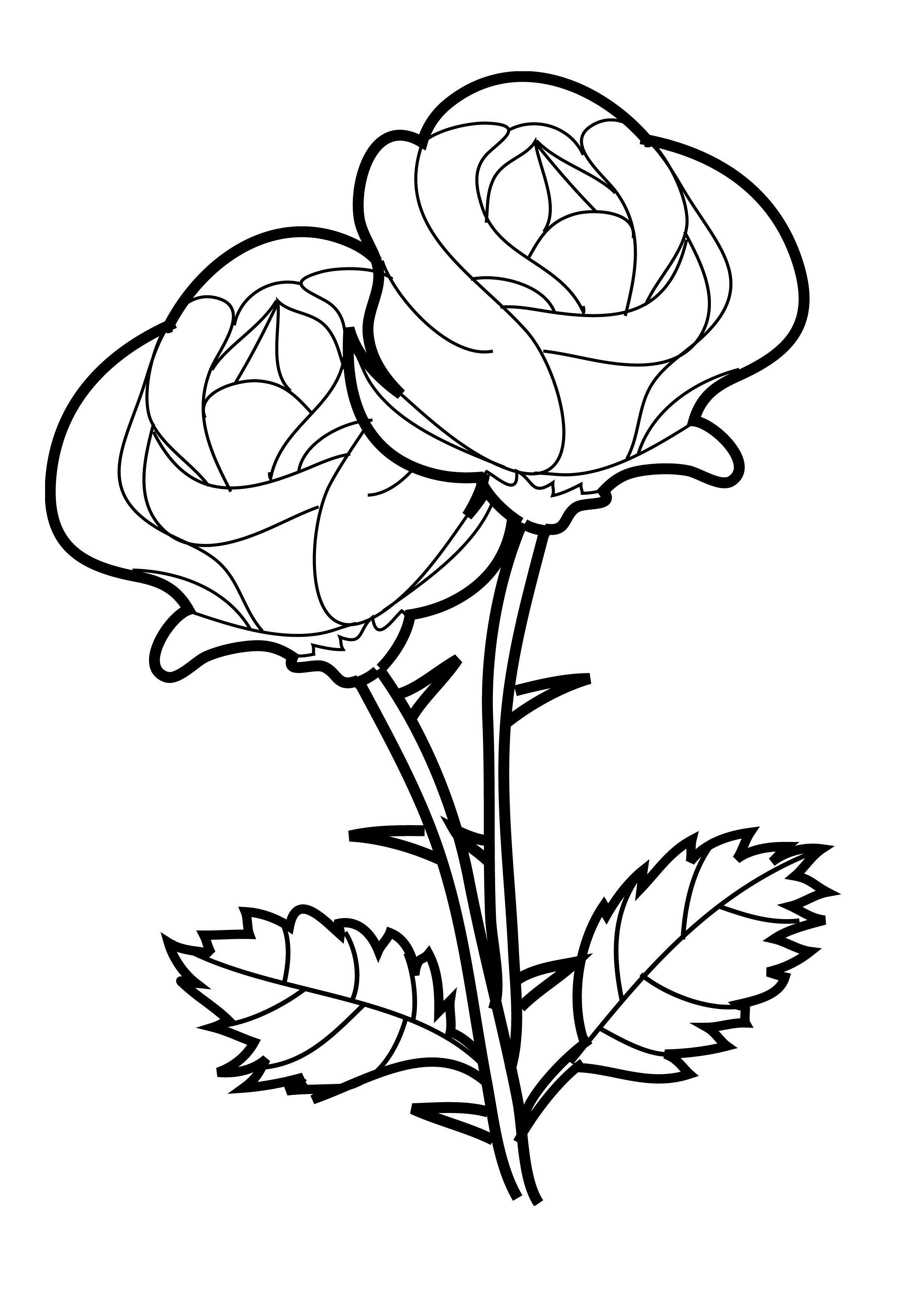 Garden Flowers Coloring Pages for Adults Unique 142