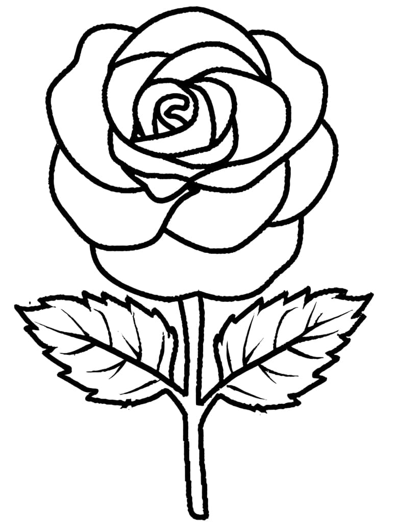 Garden Flowers Coloring Pages for Adults Unique 144