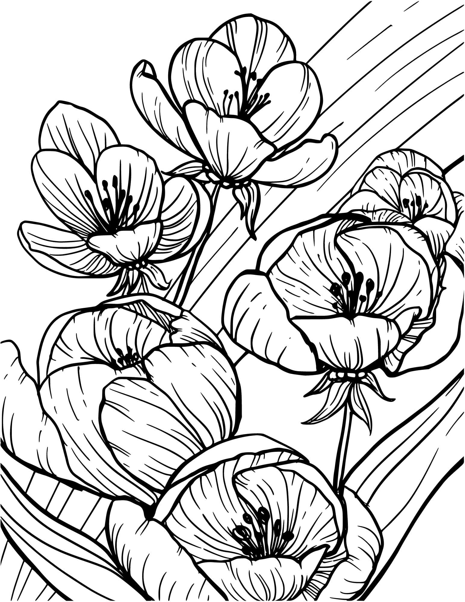 Garden Flowers Coloring Pages for Adults Unique 4