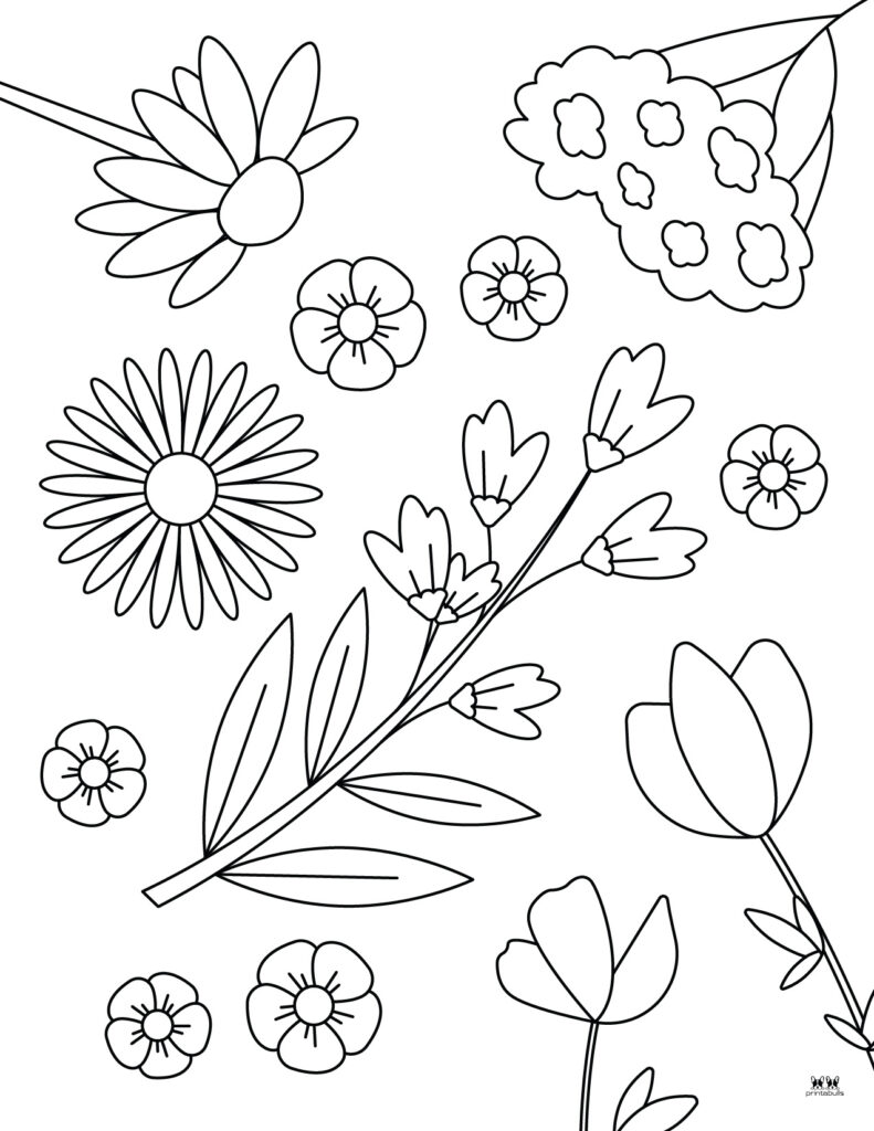 Garden Flowers Coloring Pages for Adults Unique 45