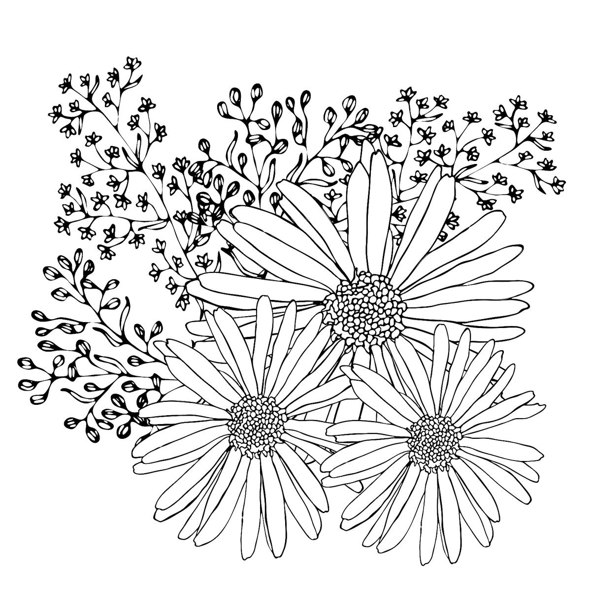 Garden Flowers Coloring Pages for Adults Unique 67