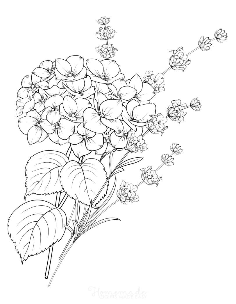 Garden Flowers Coloring Pages for Adults Unique 74