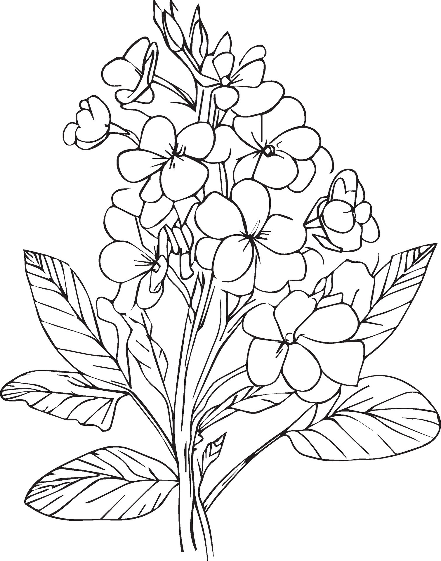 Garden Flowers Coloring Pages for Adults Unique 76