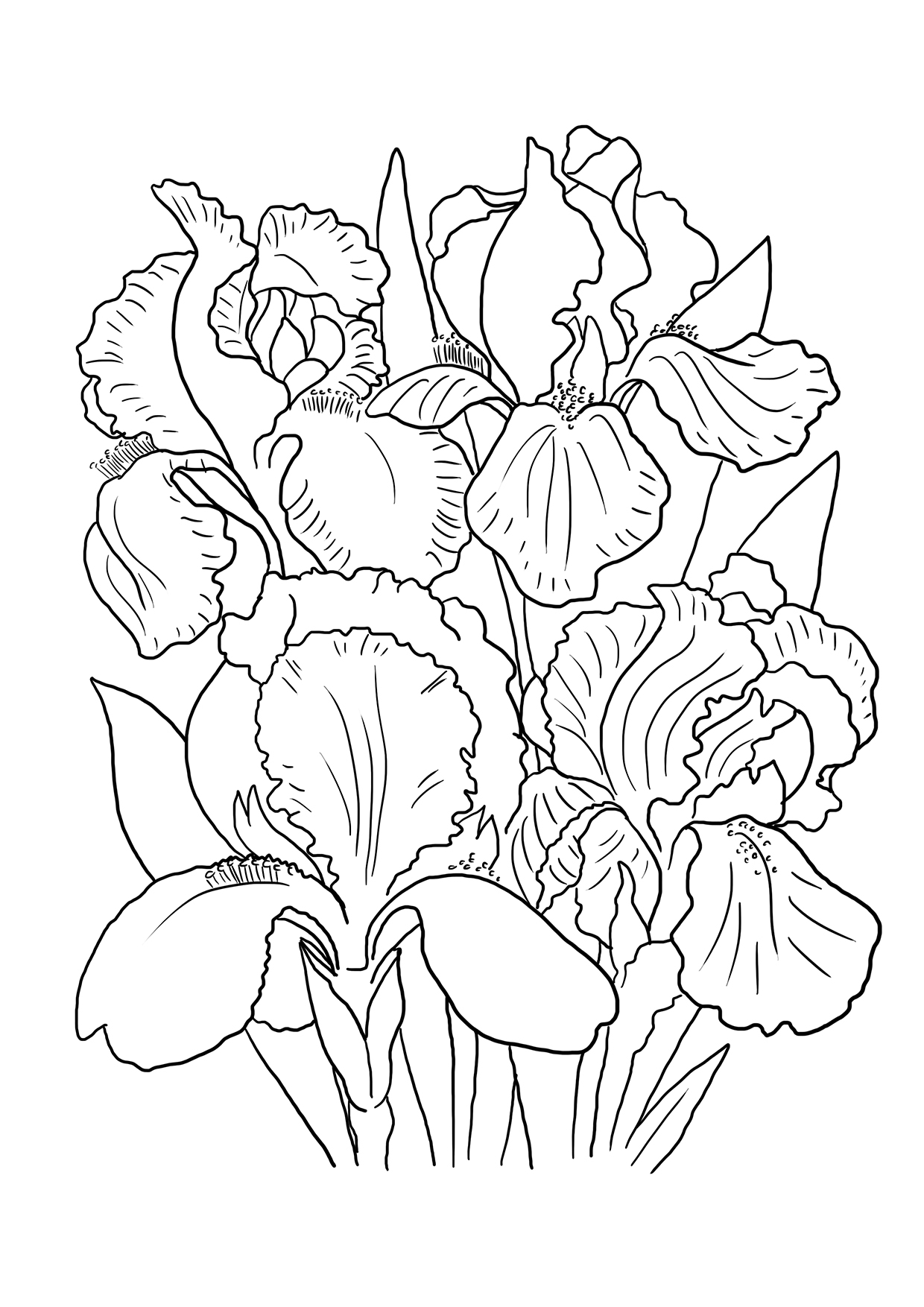 Simple Flower Coloring Pages Free Printable 10