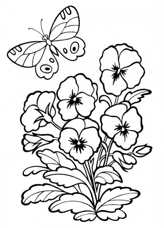 Simple Flower Coloring Pages Free Printable 105