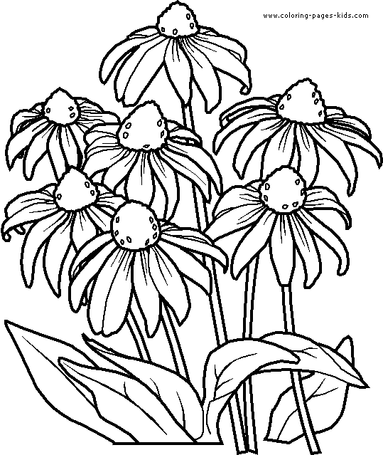 Simple Flower Coloring Pages Free Printable 107