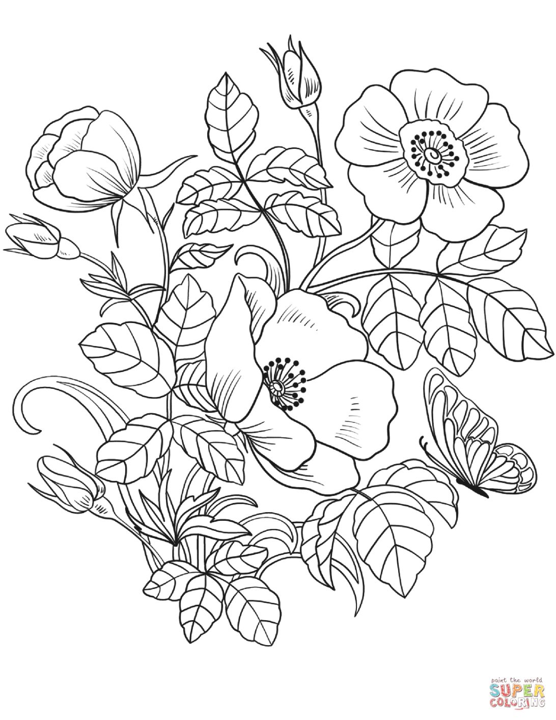 Simple Flower Coloring Pages Free Printable 108