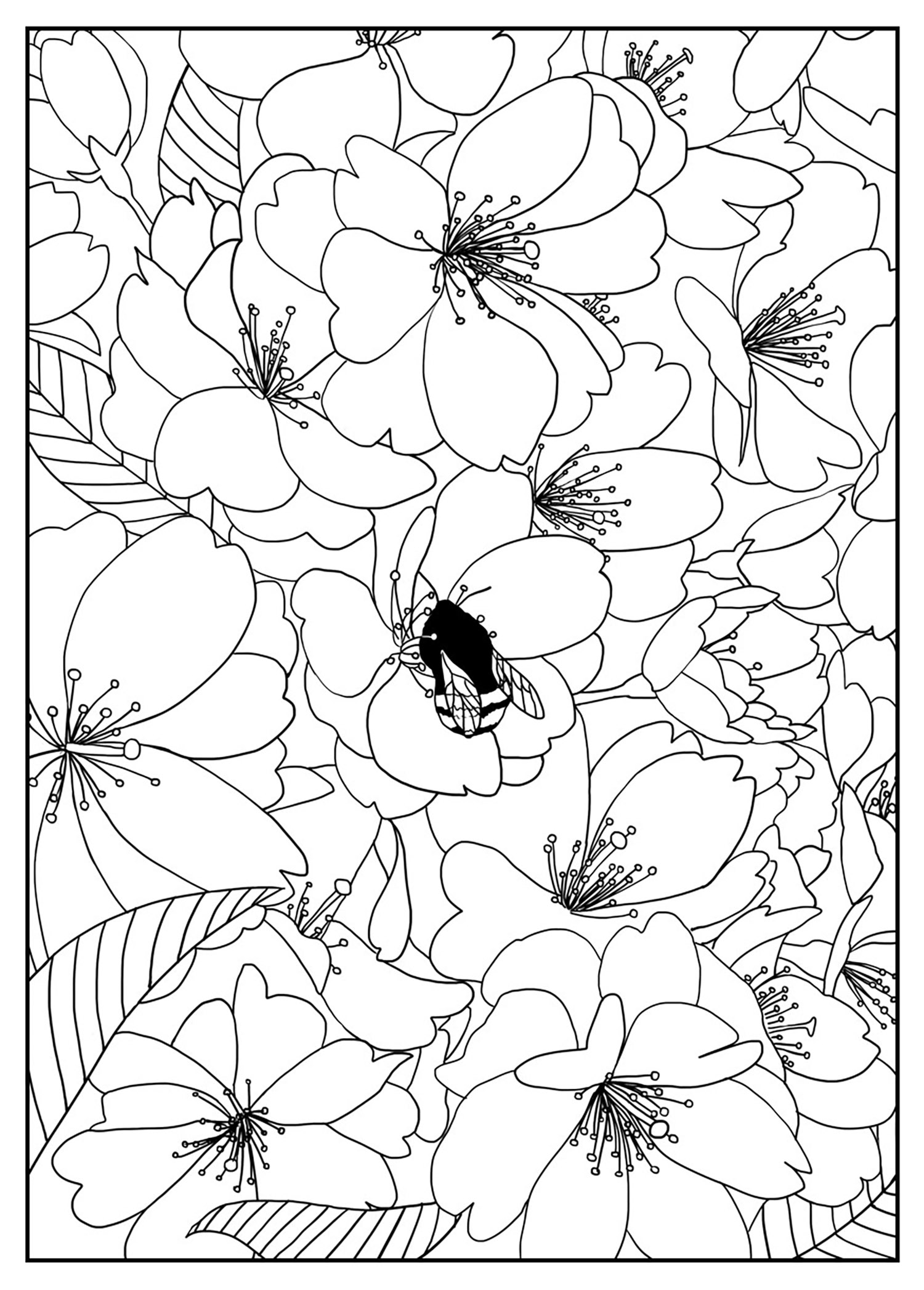 Simple Flower Coloring Pages Free Printable 109