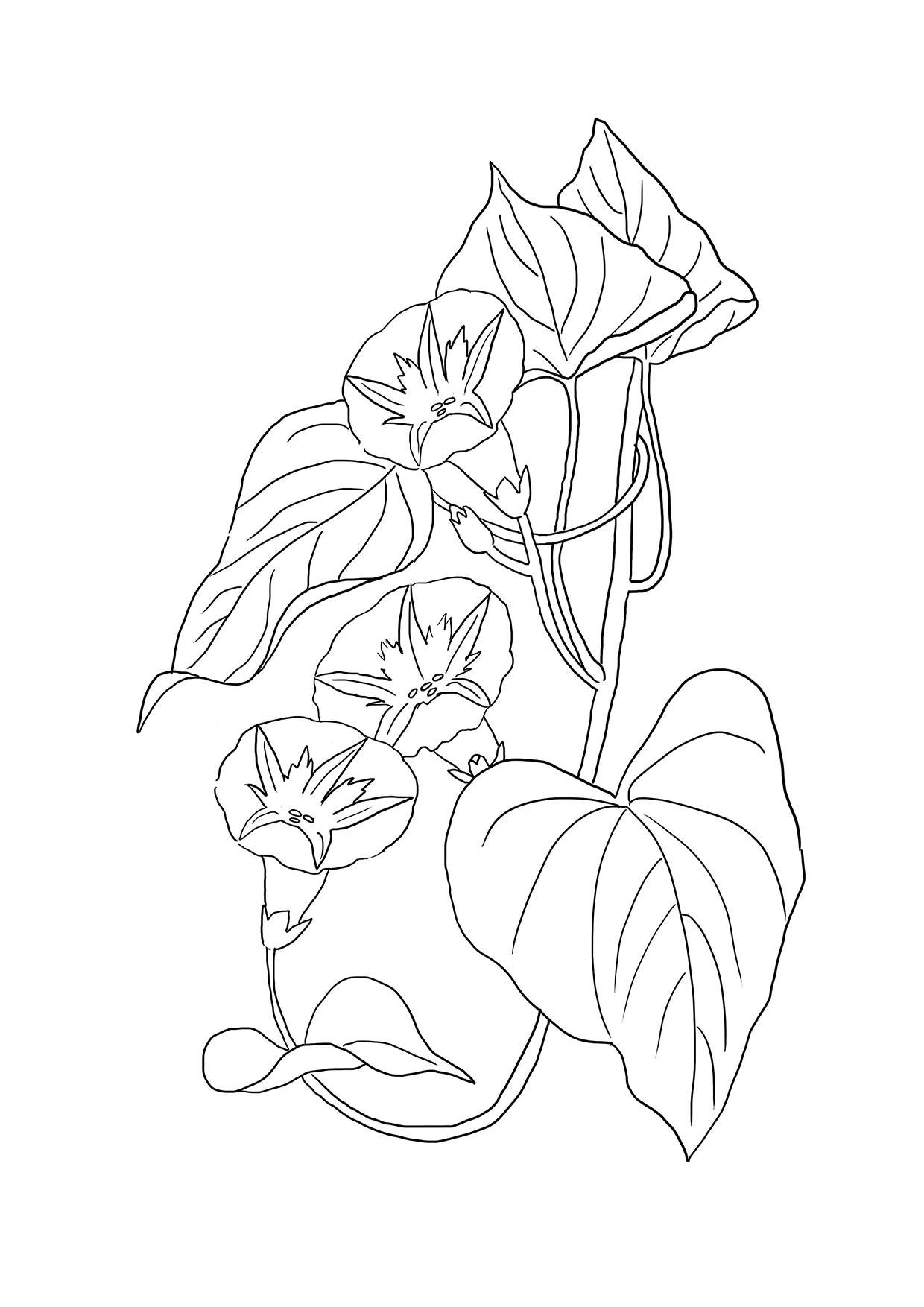 Simple Flower Coloring Pages Free Printable 125