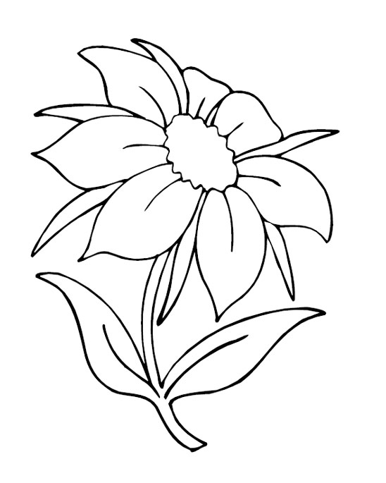 Simple Flower Coloring Pages Free Printable 128