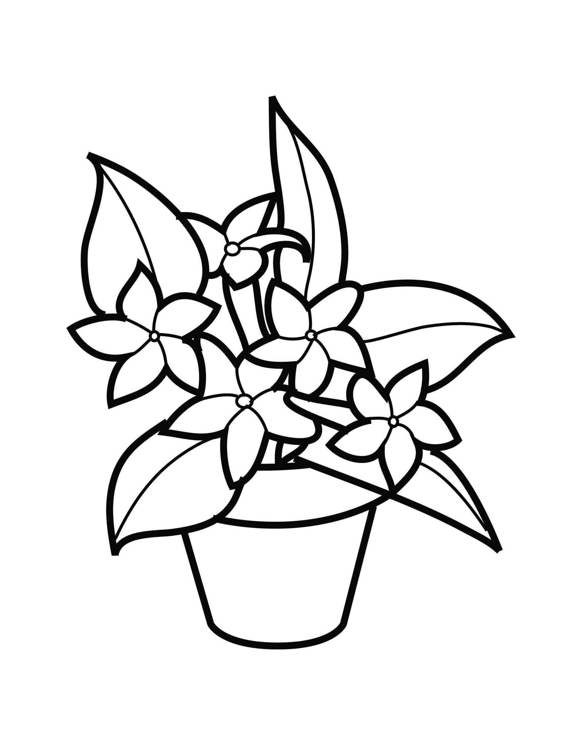 Simple Flower Coloring Pages Free Printable 13