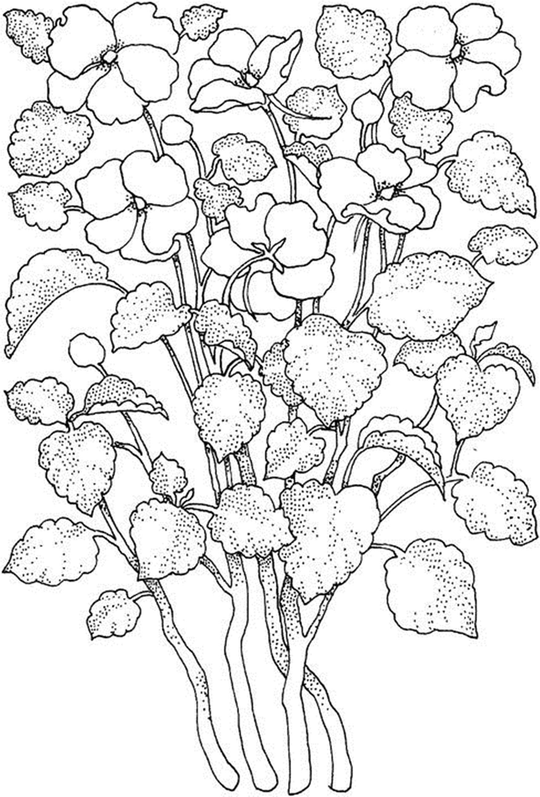 Simple Flower Coloring Pages Free Printable 133