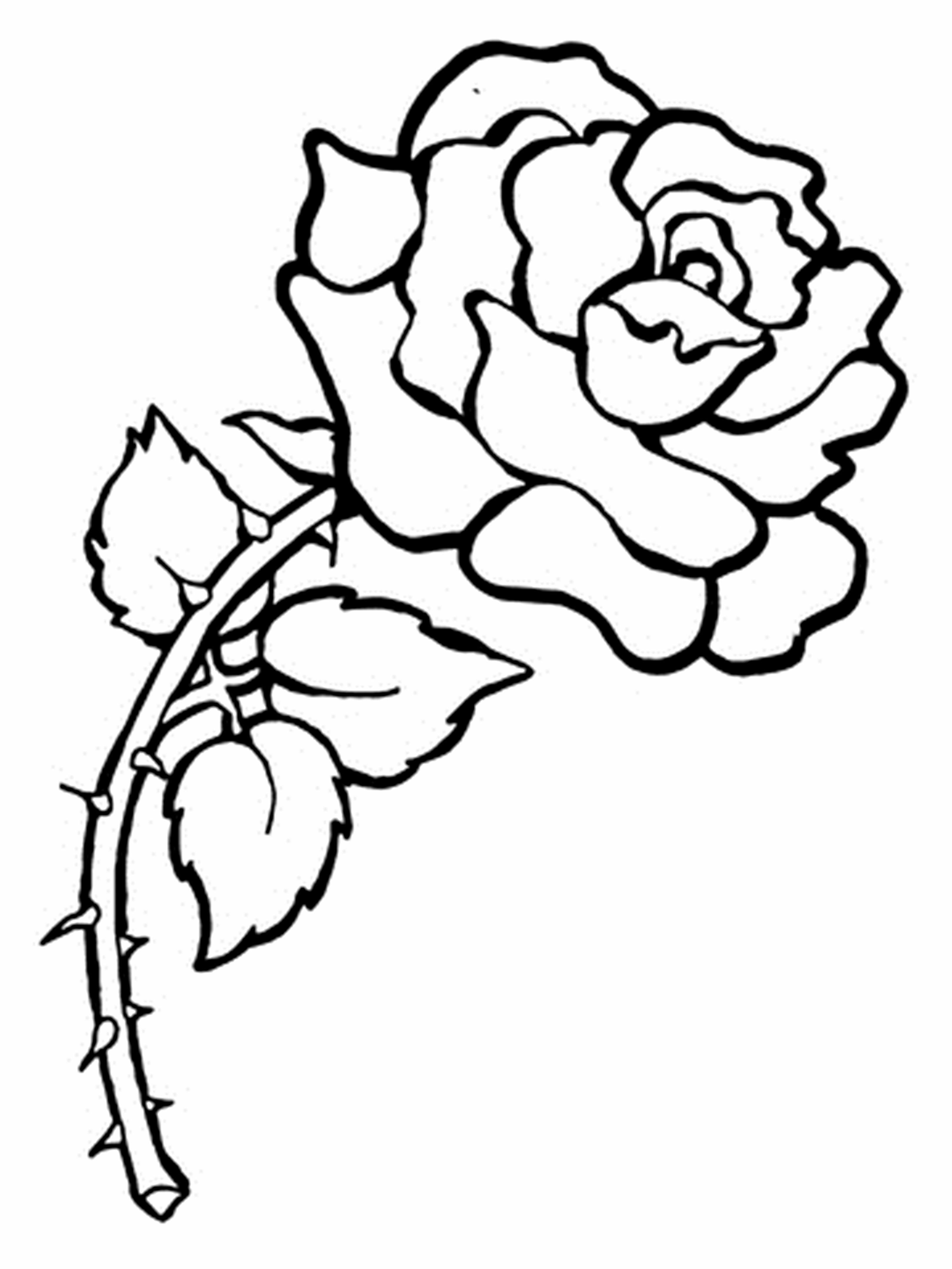 Simple Flower Coloring Pages Free Printable 134