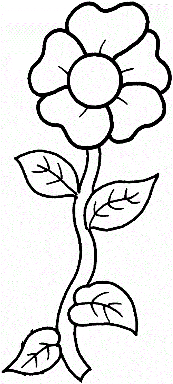 Simple Flower Coloring Pages Free Printable 136