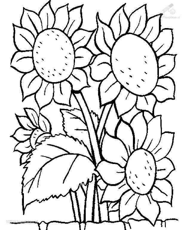 Simple Flower Coloring Pages Free Printable 147