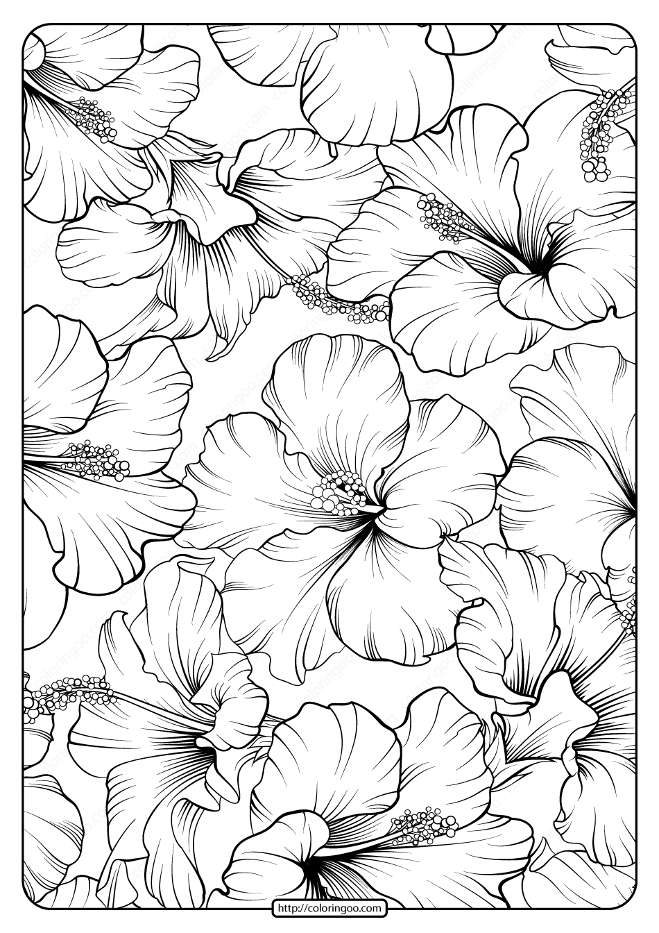 Simple Flower Coloring Pages Free Printable 148