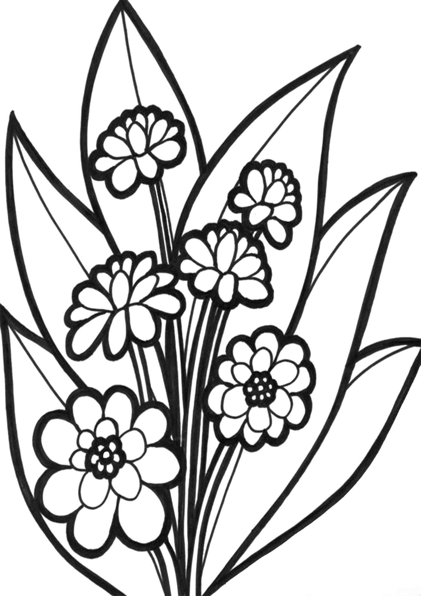 Simple Flower Coloring Pages Free Printable 153