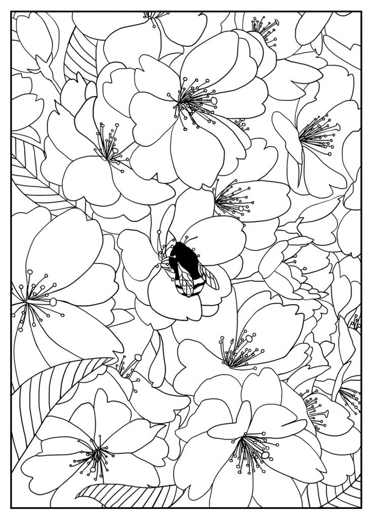 Simple Flower Coloring Pages Free Printable 158