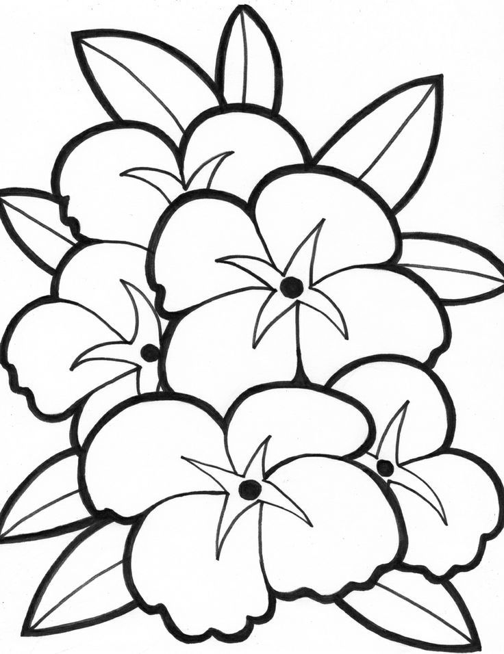 Simple Flower Coloring Pages Free Printable 171