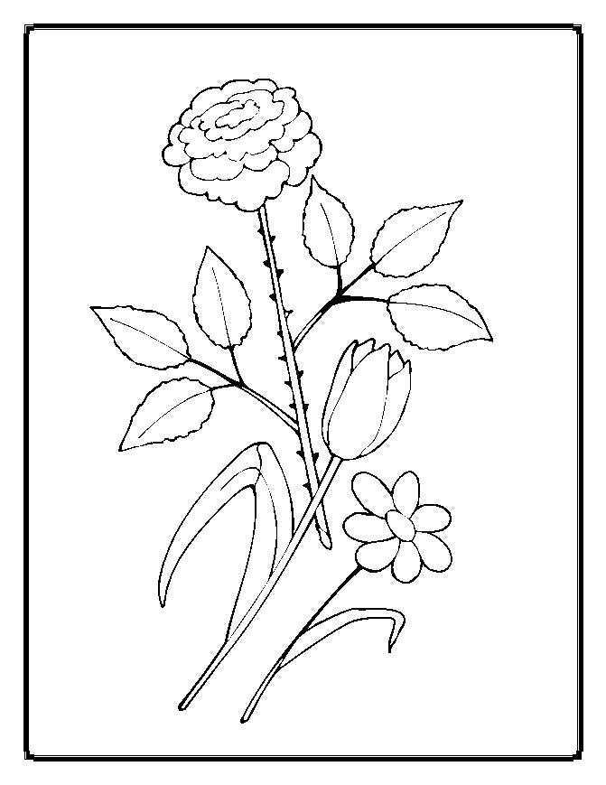 Simple Flower Coloring Pages Free Printable 173